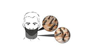 Illustration of hårvækst