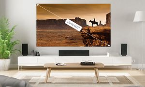 Epson projector with horse on screen