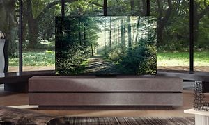 Samsung - TV -Neo QLED 8K i stue og foran skov