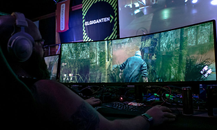 En gamer, der spiller et spil på en bred spilmonitor fra Elgiganten