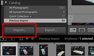 Screenshot af Adobe Lightroom import funktion
