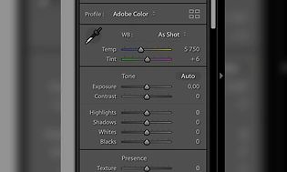 Skærmbillede af Adobe Lightroom farver- og redigeringsfunktion