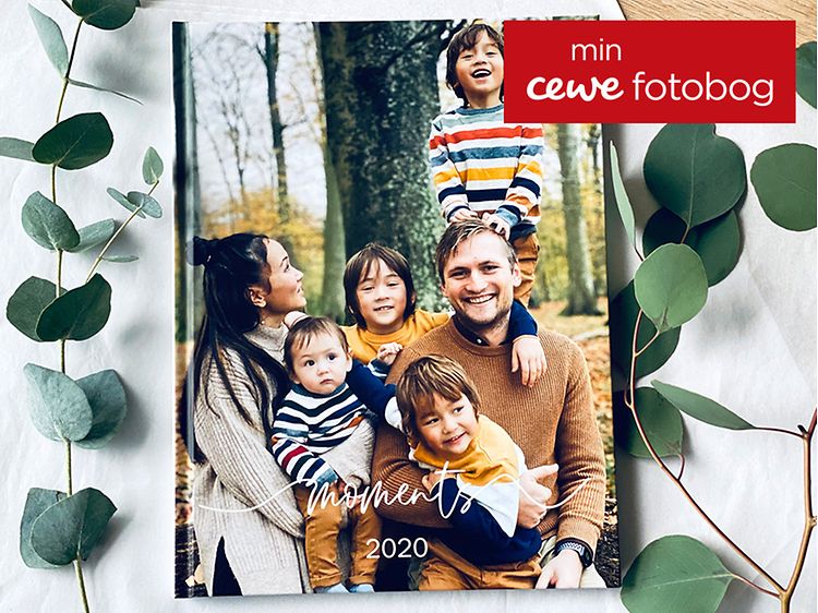 Cewe - en stor familie i skoven