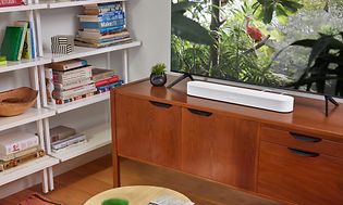 Sonos Beam Gen 2 soundbar og tv, der viser dyreliv