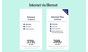 fibernet (1)