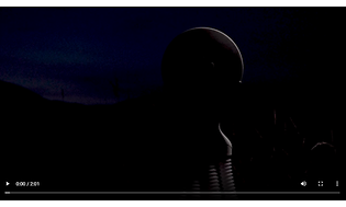 Hedgehog tørrer video screenshot