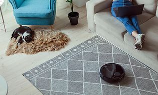 Cat and a robotic vacuum on a floor and a woman in a sofa