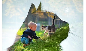 Et barn sidder på en bakke med en kat
