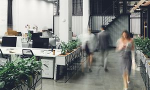 Airthings Wave Plus monteret på væg på et kontor