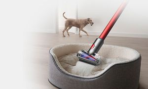 Dyson Outsize Absolut støvsuger hundekurv