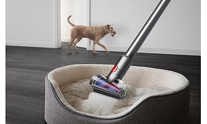 Hair screw-mundstykke til Dyson V12 Slim illustreret på hundekurv