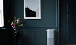 En høj grå Pure A9 i et mørkt rum ved siden af blomster