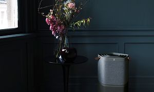 En sort Pure A9 i et mørkt rum ved siden af blomster