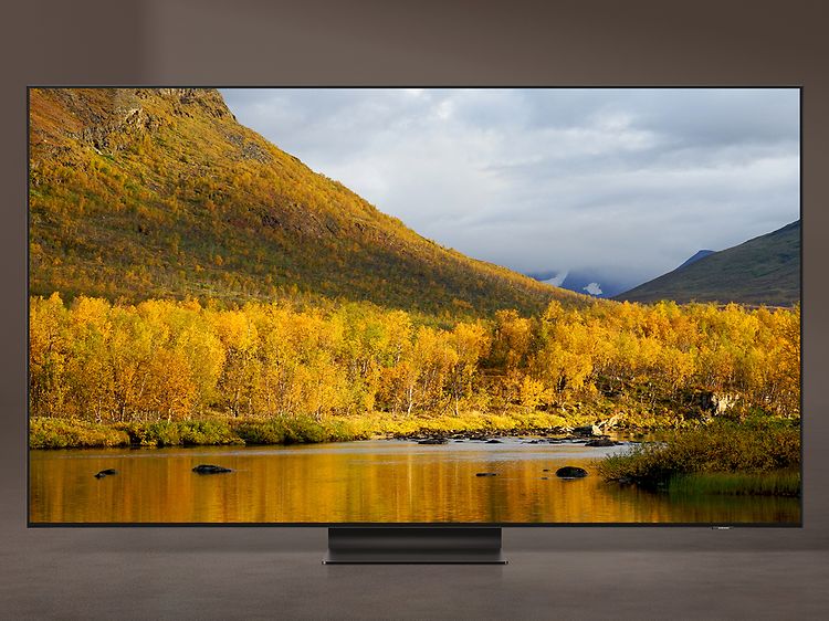 Samsung-TV-QN95A- Efterårsfarver i naturen