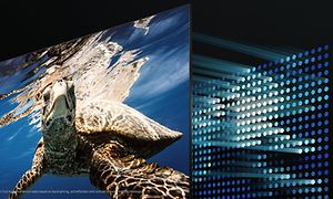 Samsung-TV-Q80A-TV med en svømmende skildpadde