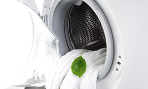 Grønt blad på hvidt håndklæde i vaskemaskine