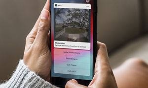 Arlo - Kvinde ser på Arlo-notifikationer på mobilen