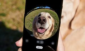 OnePlus - Et kamera, der tager et billede af en hund med en fiskeøje-effekt