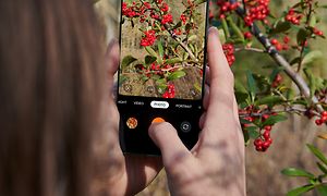 OnePlus - A woman taking a photo of a flower