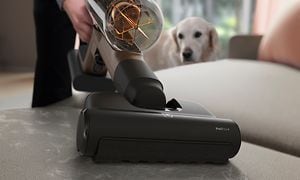 Electrolux ledningsfri støvsuger og en hund i baggrunden