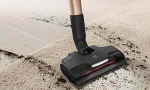 Electrolux støvsuger støvsuger et tæppe