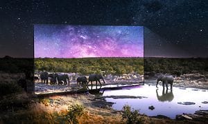 samsung-tv-qn85a - Elefanter på og uden for tv