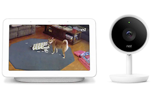 Google Nest Hub-webkamera og skærm, der viser en hund