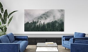 Samsung-QLED TV viser en skov