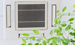 Ventilationsrist og planter