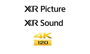 Sony-TV-A80J-XR tekst