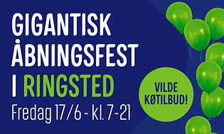 750x444-artikelbanner-ringsted-åbning-generel-2022-dkv1