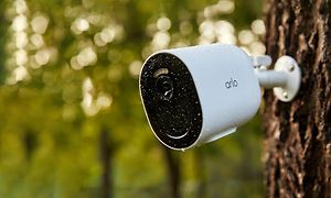 Arlo Go V2 Security monteret på et træ