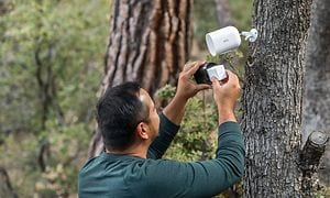 En mand installerer et Arlo Go V2 overvågningskamera på et træ.