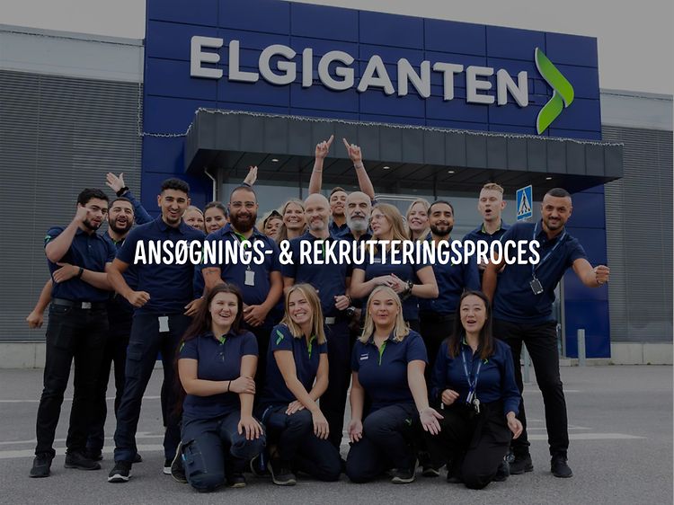 Ansøgning og rekruttering header (1)