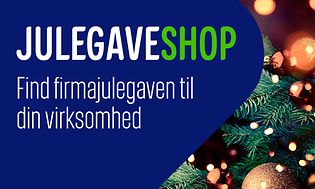 1024x768px-julegaveshop-2022-uden-cta (1)