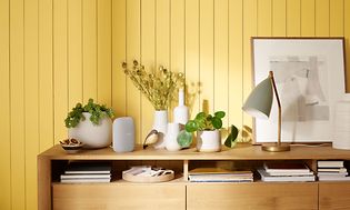 Google Nest Audion på en reol med planter omkring