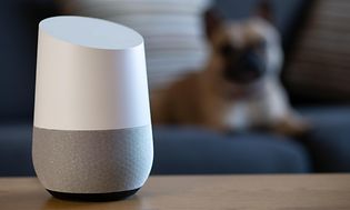Google Home og en hund på en sofa i baggrunden