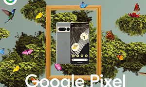 Google Pixel 7 Pro i en flyvende ramme, omgivet af fugle og somemrfugle