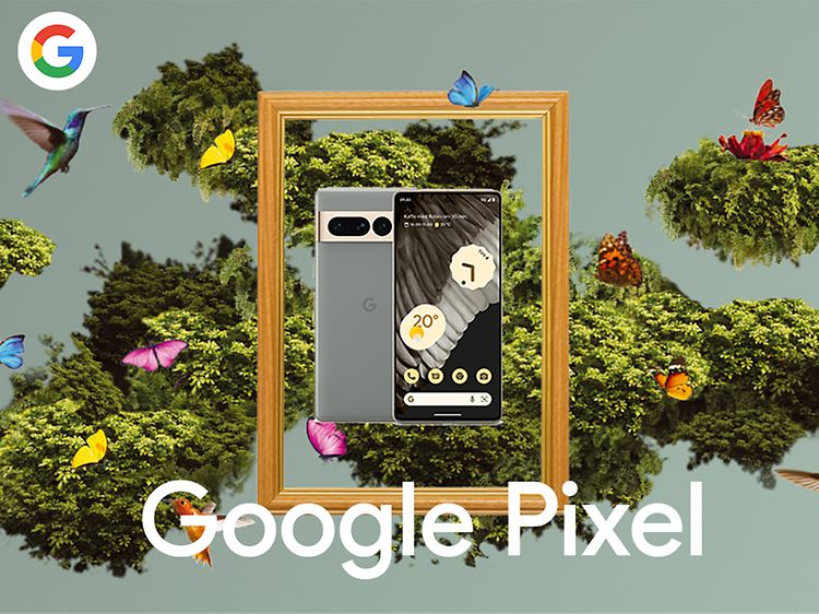 Google Pixel 7 Pro in a frame surrounded by birds and butterflies (desktop)