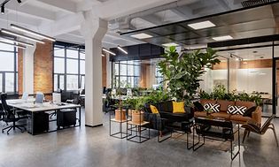 Moderne kontor med grønne planter