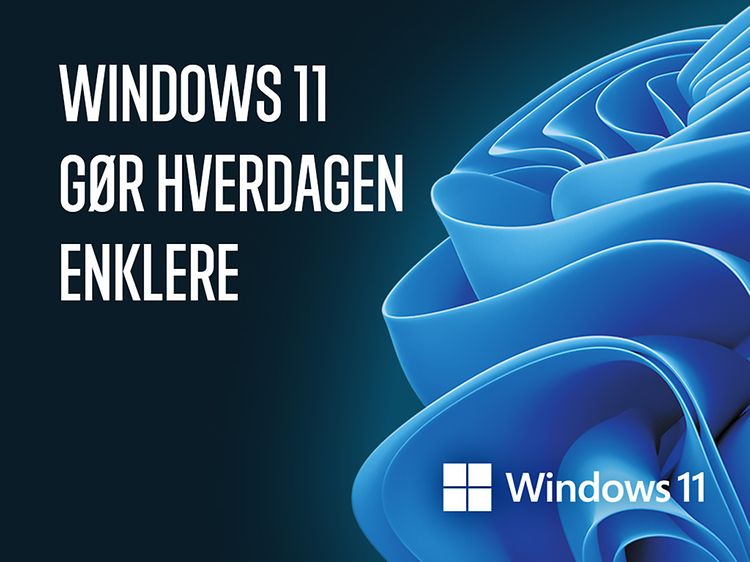 Windows 11