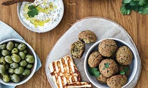 SDA - Household - Halloumi, falafel og oliven på et bord