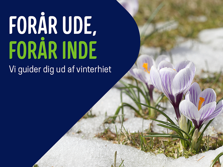 Krokusblomster på banner med teksten: "Forår ude, forår inde. Vi guider dig ud af vinterhiet."