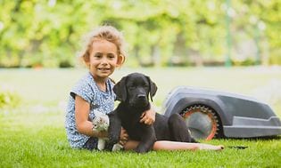 Ung pige der sidder med en hundehvalp på skødet imens en robotplæneklipper slår græs