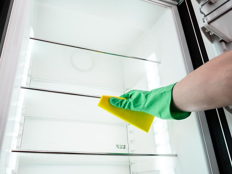 Køleskabsrengøring og vedligehold: Køleskab rengøres af en hånd i en handske