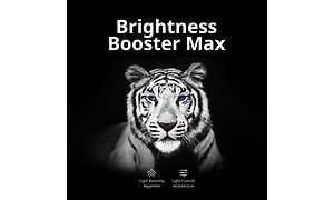 LG OLED TV with Brightness Booster Max