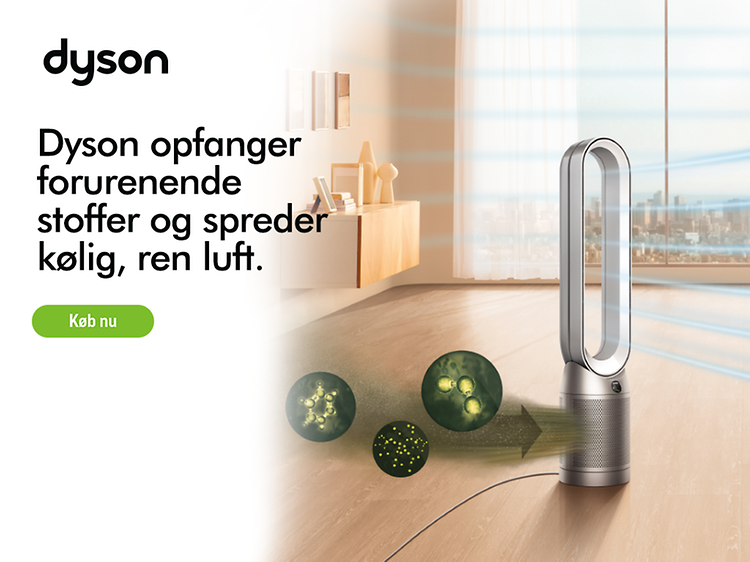 Dyson Heatwave