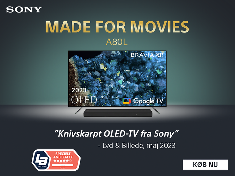 Sony A80L