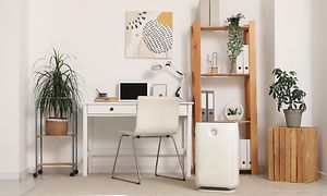 Luftkvalitet - et værelse med et skrivebord, reol, stol og grønne planter