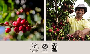 Nespresso er en certificeret B-Corporation, som fremmer kontrolleret kaffedyrkning